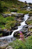 dsc_7944.jpg