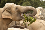 ws-makro-zoo_mg_9565_bed.jpg