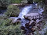 dsc06987.jpg