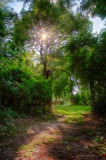 _dsc6934_hdr.jpg