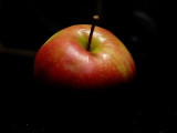 p1020844.jpg