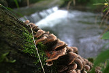 dsc_2698.jpg