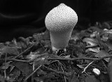 dsc_2544.jpg