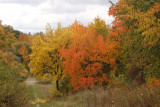 dsc_9273.jpg