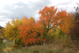 dsc_9274.jpg