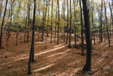 dsc_9487.jpg