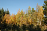 dsc_9494.jpg