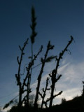 pa260034.jpg