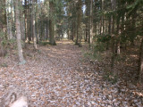 pa270135.jpg