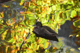 dsc_1283.jpg