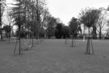 img_7955.jpg