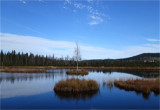 dsc00435-2b.jpg