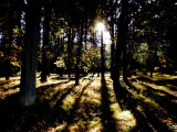 img_0078.jpg