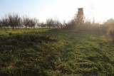 img_8787.jpg