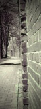street.jpg