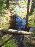 100_3339.jpg