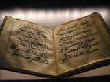 p6120150.jpg