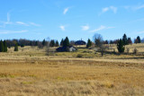dsc_0317.jpg