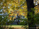17-dsc00020.jpg