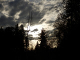 pa270845.jpg