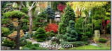 wbgarden-ornamental-garden-1.jpg