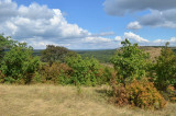 dsc_0329.jpg