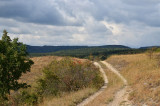 dsc_0336.jpg