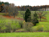 dscn7142.jpg