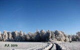 22.11.11.-024.jpg
