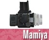 PSD_mamiya_rz22_listopad_2010-nahled3.jpg