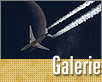 ts_galerie_TOP12-nahled1.gif