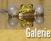 ts_galerie_top10-nahled1.gif