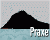 praxe