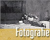 Podobnosti fotografie