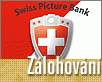 ts_swiss-nahled1.gif