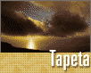 Tapeta 26