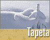 ts_tapeta33-nahled1.gif