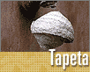 ts_tapeta34-nahled1.gif