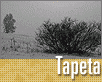 ts_tapeta38-nahled3.gif