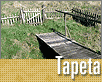 ts_tapeta50-nahled1.gif