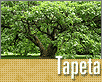 ts_tapeta51-nahled1.gif