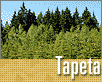 ts_tapeta54-nahled1.gif