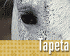 ts_tapeta58-nahled3.gif