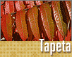 ts_tapeta64-nahled1.gif