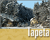 ts_tapeta72-nahled1.gif