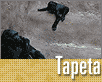 ts_tapeta74-nahled1.gif