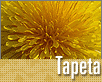 ts_tapeta78-nahled1.gif