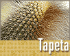 Tapeta 25