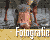 Top fotografie