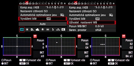 možnosti fce wb